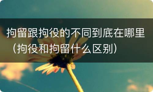 拘留跟拘役的不同到底在哪里（拘役和拘留什么区别）