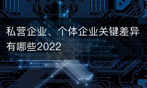 私营企业、个体企业关键差异有哪些2022