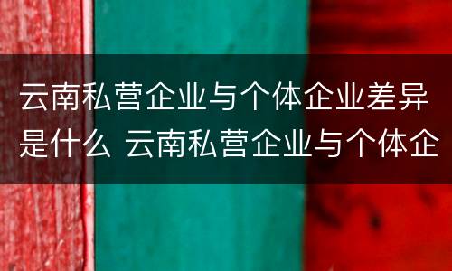 云南私营企业与个体企业差异是什么 云南私营企业与个体企业差异是什么原因