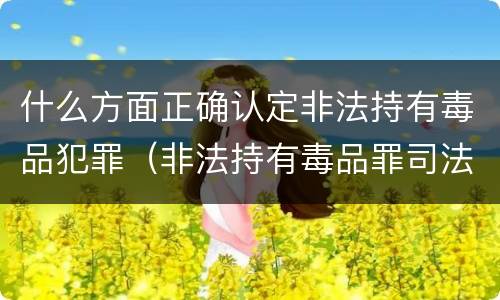 什么方面正确认定非法持有毒品犯罪（非法持有毒品罪司法认定）