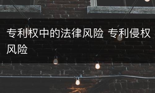 专利权中的法律风险 专利侵权风险