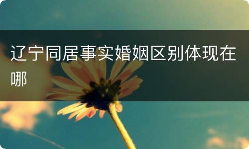 辽宁同居事实婚姻区别体现在哪
