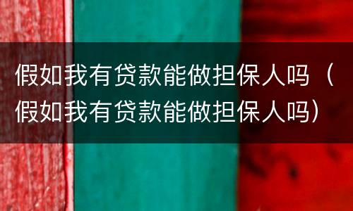 假如我有贷款能做担保人吗（假如我有贷款能做担保人吗）