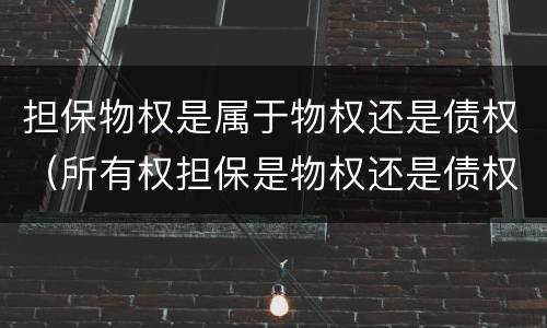 担保物权是属于物权还是债权（所有权担保是物权还是债权）