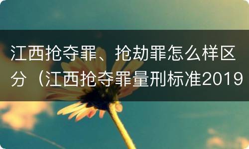 江西抢夺罪、抢劫罪怎么样区分（江西抢夺罪量刑标准2019）