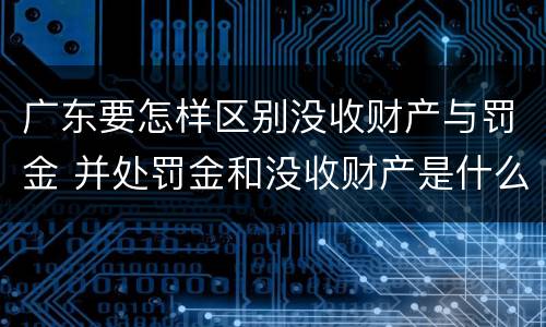 广东要怎样区别没收财产与罚金 并处罚金和没收财产是什么意思
