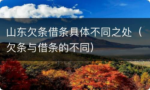 山东欠条借条具体不同之处（欠条与借条的不同）