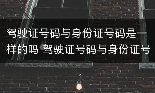 驾驶证号码与身份证号码是一样的吗 驾驶证号码与身份证号码是一样的吗怎么查