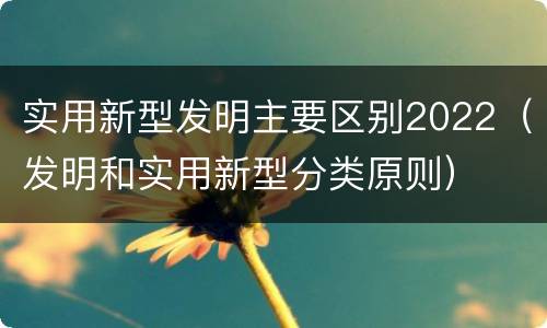 实用新型发明主要区别2022（发明和实用新型分类原则）