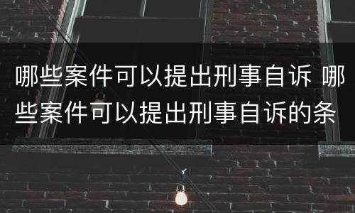 哪些案件可以提出刑事自诉 哪些案件可以提出刑事自诉的条件