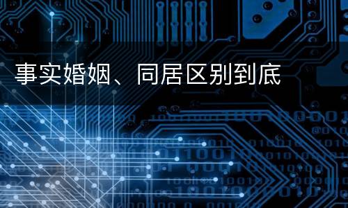 事实婚姻、同居区别到底