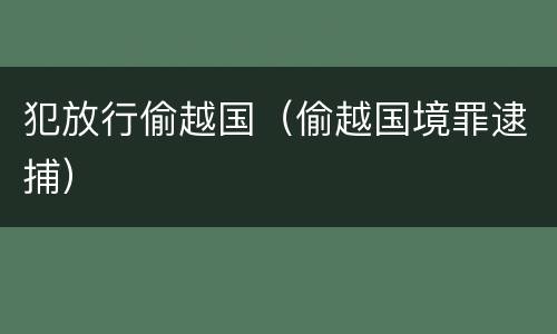 犯放行偷越国（偷越国境罪逮捕）