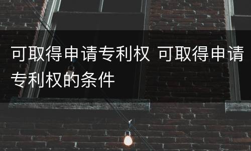 可取得申请专利权 可取得申请专利权的条件