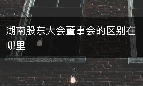 湖南股东大会董事会的区别在哪里