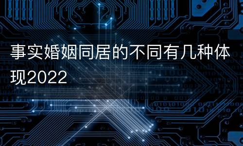 事实婚姻同居的不同有几种体现2022