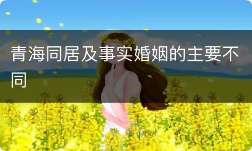 青海同居及事实婚姻的主要不同