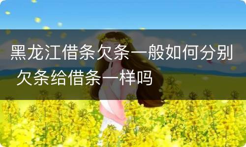 黑龙江借条欠条一般如何分别 欠条给借条一样吗