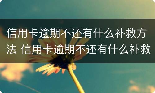 信用卡逾期不还有什么补救方法 信用卡逾期不还有什么补救方法吗