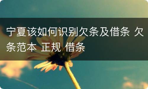 宁夏该如何识别欠条及借条 欠条范本 正规 借条