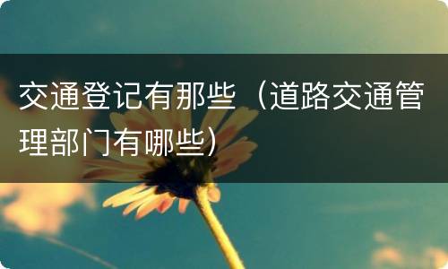 交通登记有那些（道路交通管理部门有哪些）