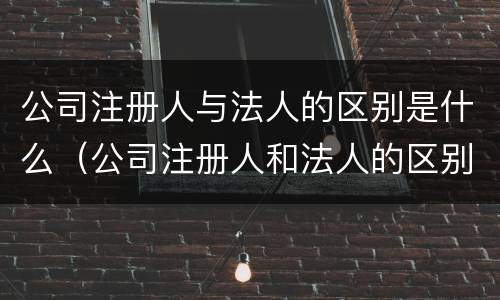 公司注册人与法人的区别是什么（公司注册人和法人的区别）