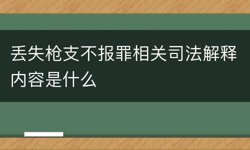 丢失枪支不报罪相关司法解释内容是什么