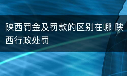 陕西罚金及罚款的区别在哪 陕西行政处罚