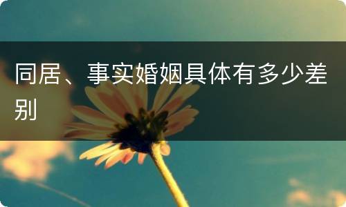 同居、事实婚姻具体有多少差别