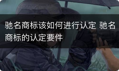 驰名商标该如何进行认定 驰名商标的认定要件