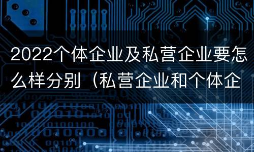 2022个体企业及私营企业要怎么样分别（私营企业和个体企业）
