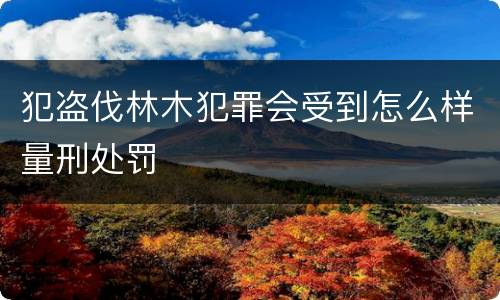 犯盗伐林木犯罪会受到怎么样量刑处罚