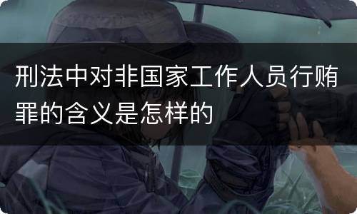 刑法中对非国家工作人员行贿罪的含义是怎样的