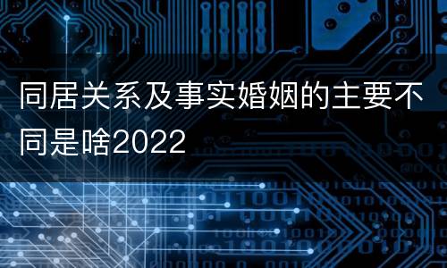 同居关系及事实婚姻的主要不同是啥2022
