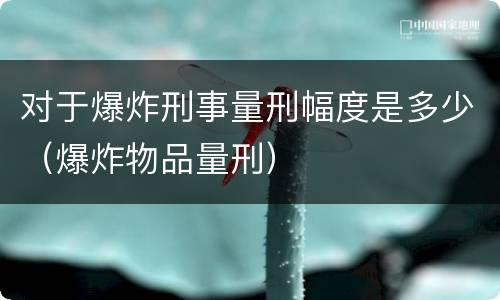 对于爆炸刑事量刑幅度是多少（爆炸物品量刑）