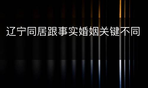 辽宁同居跟事实婚姻关键不同