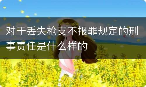 对于丢失枪支不报罪规定的刑事责任是什么样的