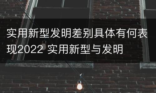实用新型发明差别具体有何表现2022 实用新型与发明