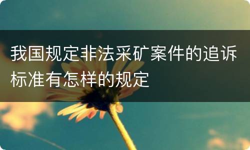 我国规定非法采矿案件的追诉标准有怎样的规定