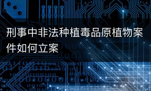 刑事中非法种植毒品原植物案件如何立案