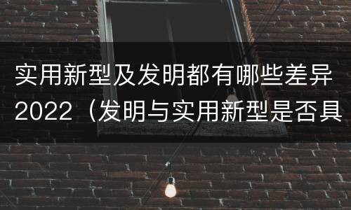 实用新型及发明都有哪些差异2022（发明与实用新型是否具有实用性）