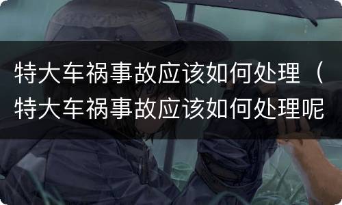 特大车祸事故应该如何处理（特大车祸事故应该如何处理呢）