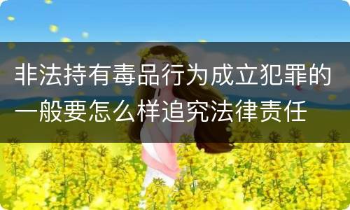 非法持有毒品行为成立犯罪的一般要怎么样追究法律责任