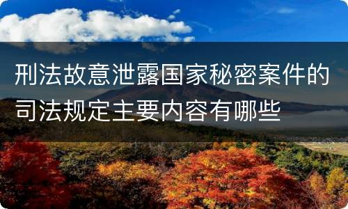刑法故意泄露国家秘密案件的司法规定主要内容有哪些