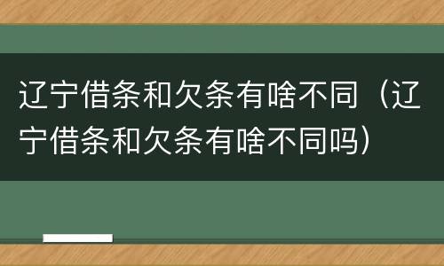 辽宁借条和欠条有啥不同（辽宁借条和欠条有啥不同吗）