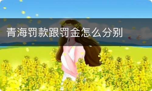 青海罚款跟罚金怎么分别