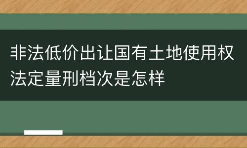 非法低价出让国有土地使用权法定量刑档次是怎样