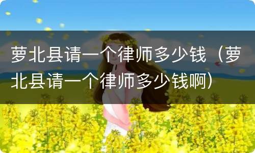 萝北县请一个律师多少钱（萝北县请一个律师多少钱啊）
