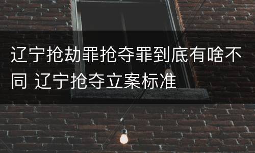 辽宁抢劫罪抢夺罪到底有啥不同 辽宁抢夺立案标准