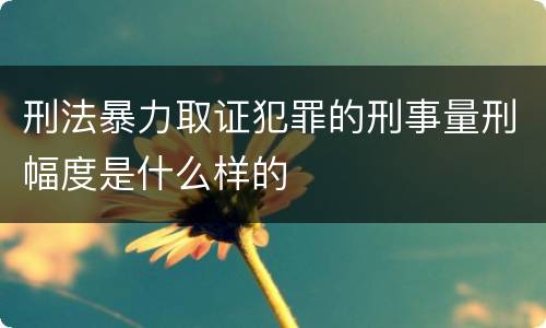 刑法暴力取证犯罪的刑事量刑幅度是什么样的