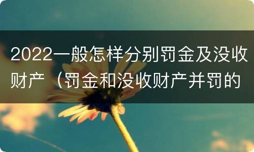2022一般怎样分别罚金及没收财产（罚金和没收财产并罚的执行顺序）